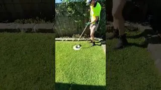 Satisfying trim #lawncare #oddlysatisfying #shorts #shortssatisfying #shortsclip #lawnmower #lawns
