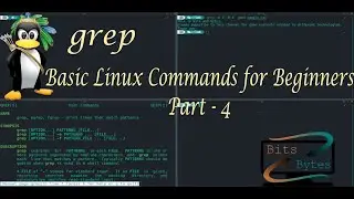 Linux commands for beginner part 4 | Manjaro Linux | basic linux commands | grep