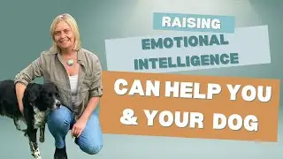 Raising Emotional Intelligence Can Help You and Your Dog