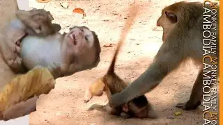 Extremely Fear .........Loki pounce and potentially slap  Baron shut till Terasa come to help