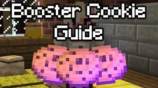 A BOOSTER COOKIE Guide for Minecraft Hypixel Skyblock