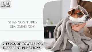Shannon Tupes recommends: what towel to use for a pet?