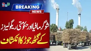 Sugar Mafia EXPOSED! Shocking Government Connection Revealed | NEO News