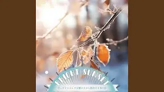 Silent Cold's Gentle Caress