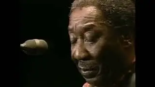 Muddy Waters  feat  Johnny Winter   Chicago Fest 1981