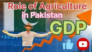 Role of Agriculture in Pakistan economy and effect of climate| Pak Agrin #gdp #agriculture