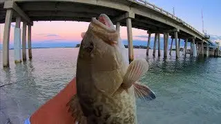 LIGHT TACKLE Bridge Fishing CHALLENGE -Gag Grouper and Flounder! (West Coast Florida Fishing)