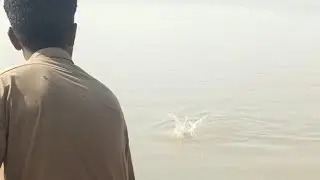 amazing big size Rohu| fish catching in Sindh river|fishing in Pakistan 20 23