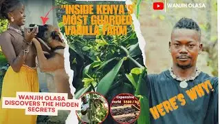 How I found the only Vanilla farmer in Kenya