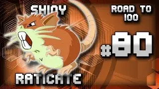 SHINY RATICATE! #80 Road to 100 | DEXNAV Shiny | Pokemon Omega Ruby Alpha Sapphire