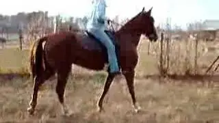 Jiggy-Flat Walk