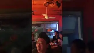 Hooters Tokyo Japan 🇯🇵 | #hooters #japan #entertainment #prettygirls #shorts