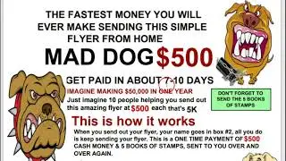 Top Mailbox Money Flyers, Affiliate flyer payments, *Work from home flyers* 🥊JD Marketing Postcards🥊