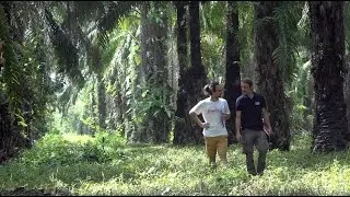 Neuer Palm&ouml;l-Report und gro&szlig;er Kekse-Check