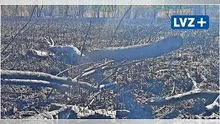 D&uuml;stere &Uuml;berreste: So hat das Gro&szlig;feuer in Leipzig-Sch&ouml;nau gew&uuml;tet