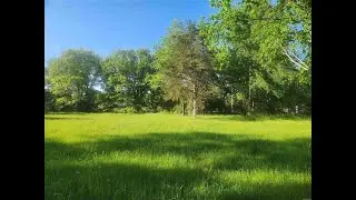 Homes for Sale - Tract 4 Castleberry Lane, Lamar, AR