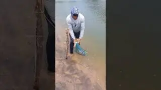 പോകുന്ന മീൻ പോട്ടെ                  #fishing #fisherman #seafishing #fish #shorts #casting 29.11.25