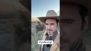 Hve&eth;rungr, a name of Loki