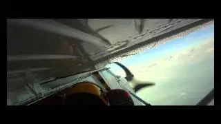 Feel Your Adrenaline (FYA)  Filmfest 2011