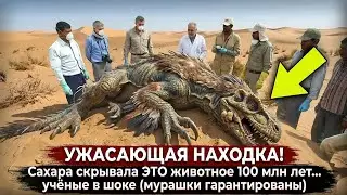 Сахара скрывала ЭТО животное 100 млн лет… учёные в шоке (мурашки гарантированы)