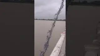 #ayodhya #ayodhyadham #nayaghat #saryughat #new  #viral #trending #short #video #like #subscribe