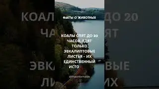 А вы знали об этом? #shorts #animals #information #facts #funny