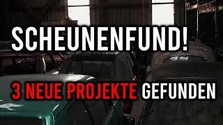 Levella | Scheunenfund - Golf 1/2/3, Audi 80 Projekte