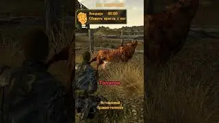 Зачем Толкать Браминов В New Vegas? #игры #fallout #newvegas #shorts