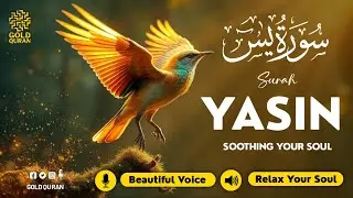 Soothing Surah Yasin for Restful Sleep, Depression, & Anxiety Relief ✦ Surah Yaseen سورة يس