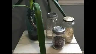 Making your kit for zero waste grocery shopping