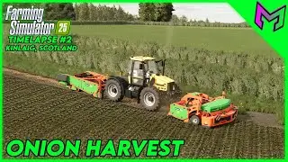Первый урожай лука! | KinLaig Timelapse 2 | FS25