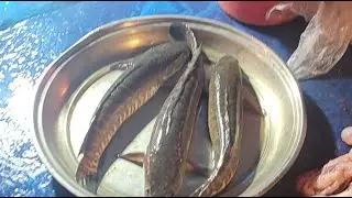 Hm Abu Hanif fish cutting channel আলহামদুলিল্লাহ  is live! Big fish cutting skills 🐋🐋🐋