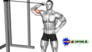 Exclusive Biceps Blast: Premium Band Workout for Ripped Arms!