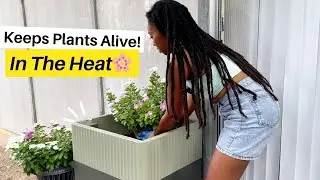 My #1 Summer Flower for the Texas Heat 🌸 Assembling and Planting the EzCube Planter!😃🌿🙌🏾