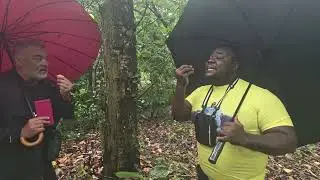 Amazing Spice Farm, Zanzibar