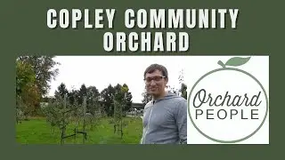 Fruit Trees, Orchard Drainage and Copley Community Orchard
