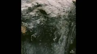 Eduard Szilagyi - Push (Samuel Wallner Remix)