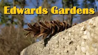 Edwards Gardens - Toronto Botanical Garden