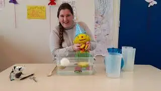 Drijven of zinken met juf Maaike