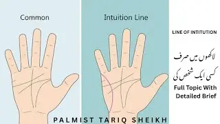 Line Of Intitution | What's The Secret !! Briefly Explained By Pakistan Famous Palmist Tariq Sheikh