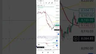 Mcx share big fall 14 August 2025