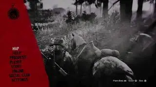 RED DEAD REDEMPTION II But I Fail