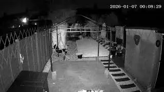 (7/1/2026) 00:07am HULL (Uk) BYC [0426]