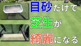 【芝VLOG】目砂散布で芝生が綺麗になる【裏庭パッティンググリーン】