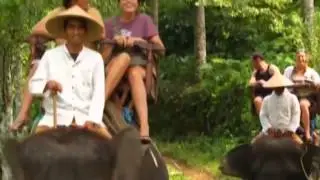 Elephant Ride at Bali Elephant Camp