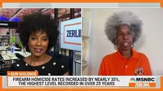 MSNBC's Zerlina Maxwell Interview With LIFE Camp CEO Erica Ford