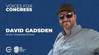 Voices for Congress - David Gadsden