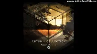 Zyce & Suduaya - Pure Light