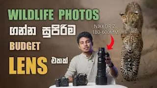 Wildlife Photography වලට සුපිරි Budget ලෙන්ස් එකක් | Nikon 180-600mm VR Review