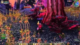 WoW quest #279 A Favorite Treat